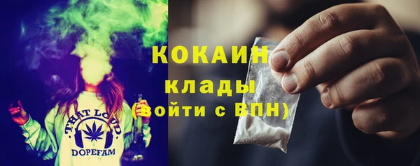 дмт Алзамай