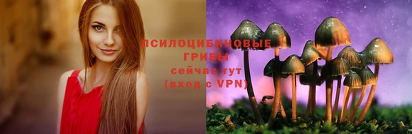 дмт Алзамай