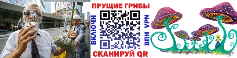 Галлюциногенные грибы Psilocybe  Слюдянка 